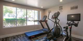 Icon on Stella Gallery 14