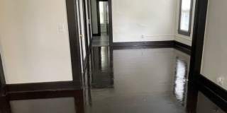 41 Clarendon St Gallery 4