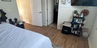 2515 TORRENS DRIVE Gallery 17