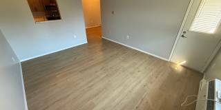 Watersedge Gallery 23
