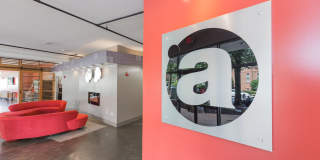 The Argon Gallery 6