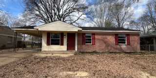 Renovated 3 Bedroom 1 Bath Home for Rent! Gallery 1