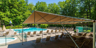 Annen Woods Annen Woods Gallery 26