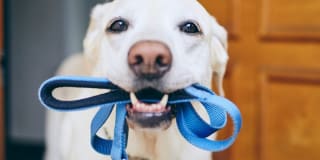 Lakeview Garden Apartments Gallery 9