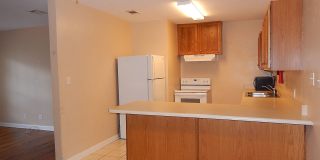 Walk to FSU! 4/2 w/ 2 Living Spaces, Wood Floors, Large Yard, & Washer/Dryer! Avail Aug 6th for $1825/month! Gallery 5