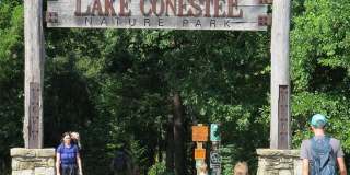 Fairforest Creekside Gallery 35
