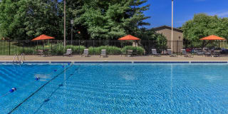 Honeywood Apartment Homes Gallery 19