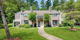 The Forest Gallery 16