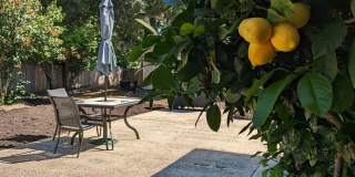 Cozy Carmel Valley Village House Fully Furnished Cozy Carmel Valley Village House Fully Furnished Gallery 34