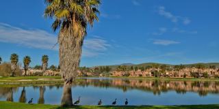 5022 Lakeview Dr. Gallery 26