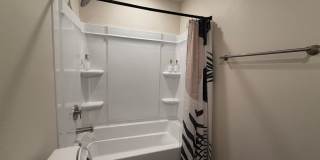 Brand New Home in Shenandoah! Gallery 10