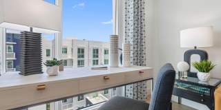 Tortoise One Gallery 18