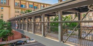 The Orsini Gallery 8