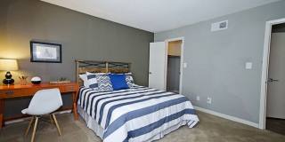 555 Mansell Gallery 12