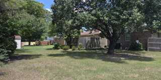 Pamalee Dr. Area Gallery 14