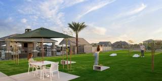 Canopy at Sundance Gallery 17