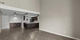 The Lake Gallery 118