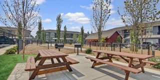 Seasons at Farmington Reserve Gallery 7