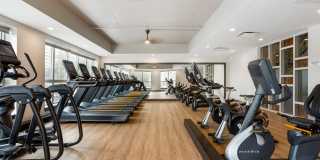 Avalon Cove Gallery 31