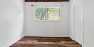 721 Palms Gallery 21