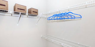 Roots at Waco Gallery 12