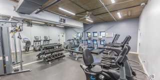 Lanewood Pines Gallery 8