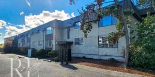 Camelot Gallery 1