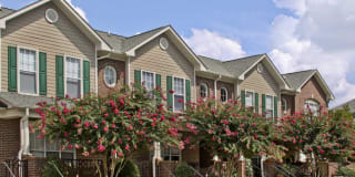 Eastover Ridge Gallery 22