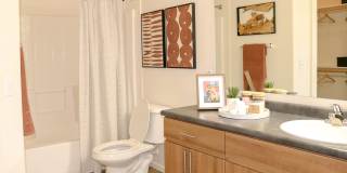 Altair Apartments Gallery 11