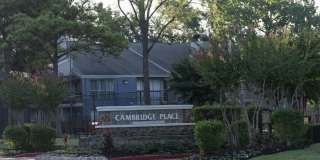 Cambridge Place Gallery 19