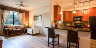 Canyon Crossroads Gallery 3