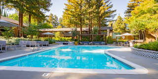 Old Orchard Apartments Gallery 26