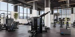 The Clara Gallery 16