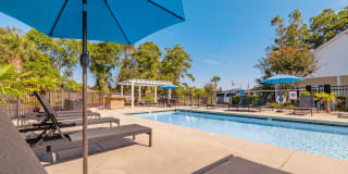 Birch Pond Gallery 7