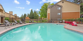 MonteVista Gallery 18