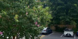 5606 BLOOMFIELD Drive unit: 101 Gallery 24