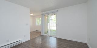 Olympic Village Gallery 5