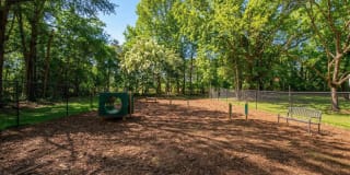 Crescent Oaks Gallery 29