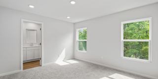 111 Brazil Nut Circle Gallery 25