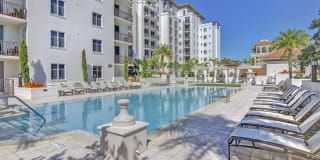 Sofia Coral Gables Gallery 1