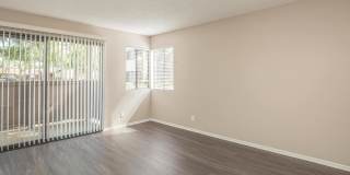 Mountain Springs Gallery 45