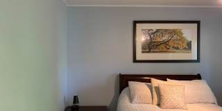 Room in 3 Bedroom Home at E Cornwallis Rd Gallery 18