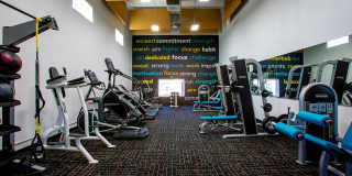 Whispering Sands Gallery 15