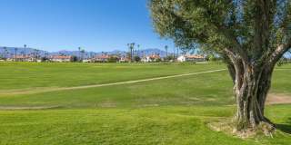 259 Vista Royale Circle W Gallery 7