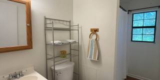 Beautiful downtown quad. 1 and 2 bed units available now. Pets allowed. Gallery 19
