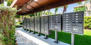 Legacy at the Palms Gallery 10