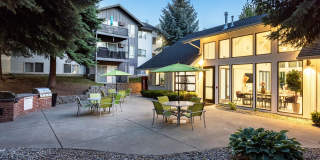 Whimsical Pig Gallery 12