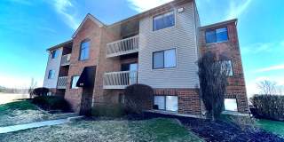 Prime at Oxford Gallery 1