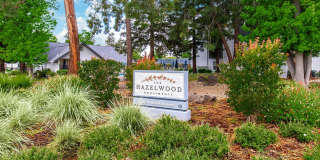 The Hazelwood Gallery 24