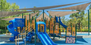 24 Cellini Gallery 39